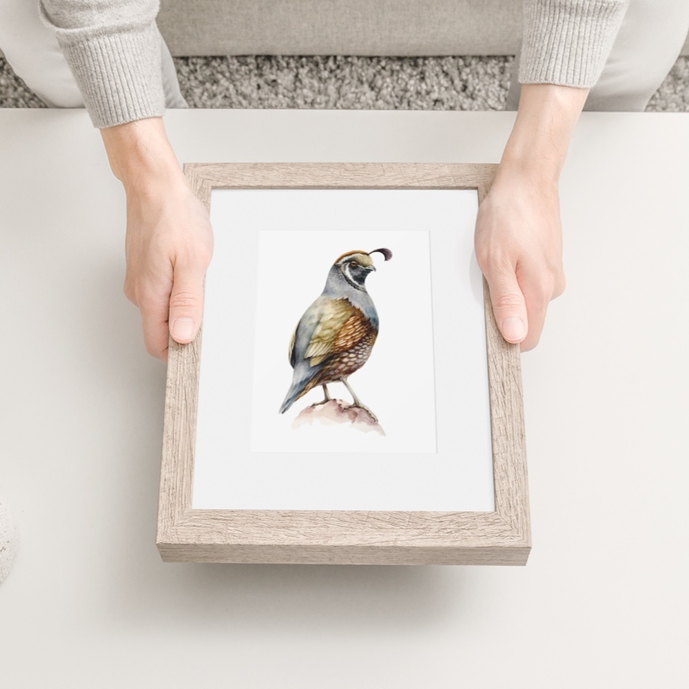 Quail Bird Wall Art Watercolor Illustration Print Poster Card Unframed - Picture 4 of 7